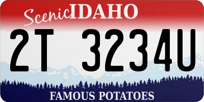 ID license plate 2T3234U