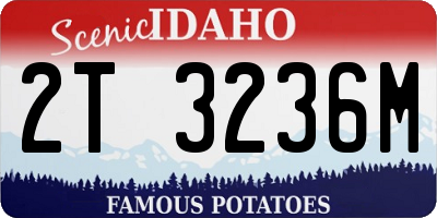 ID license plate 2T3236M