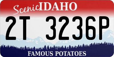 ID license plate 2T3236P
