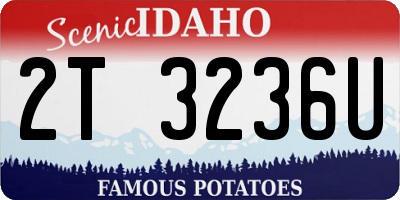ID license plate 2T3236U