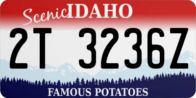 ID license plate 2T3236Z