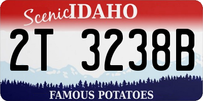 ID license plate 2T3238B