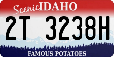 ID license plate 2T3238H