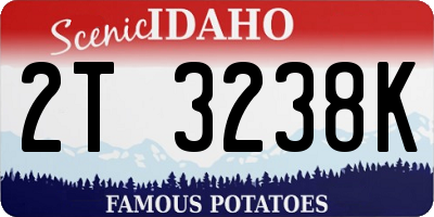 ID license plate 2T3238K