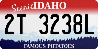 ID license plate 2T3238L