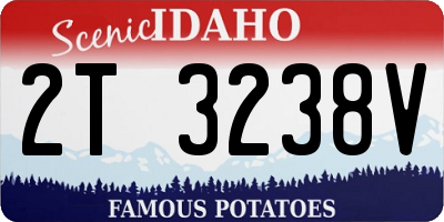 ID license plate 2T3238V