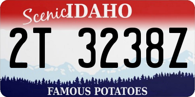 ID license plate 2T3238Z