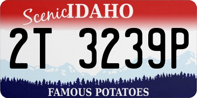 ID license plate 2T3239P