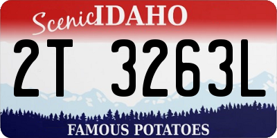 ID license plate 2T3263L