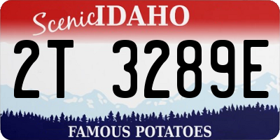 ID license plate 2T3289E
