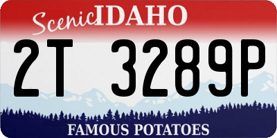 ID license plate 2T3289P