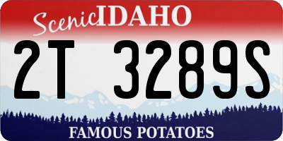 ID license plate 2T3289S