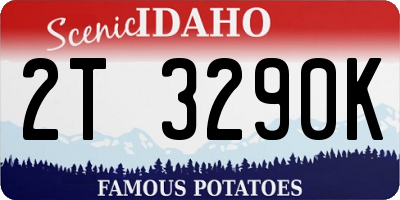 ID license plate 2T3290K