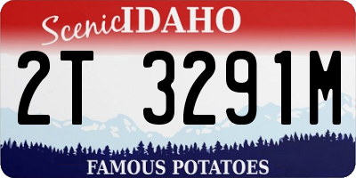 ID license plate 2T3291M
