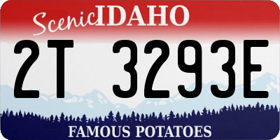 ID license plate 2T3293E