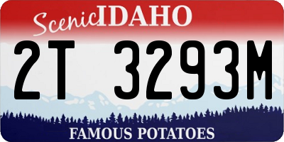 ID license plate 2T3293M