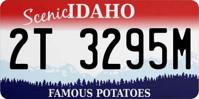 ID license plate 2T3295M