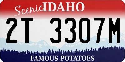 ID license plate 2T3307M
