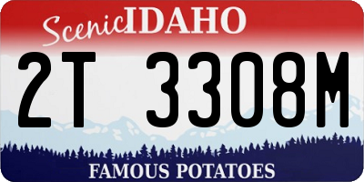 ID license plate 2T3308M