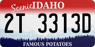 ID license plate 2T3313D