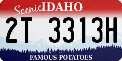 ID license plate 2T3313H