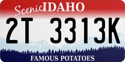 ID license plate 2T3313K