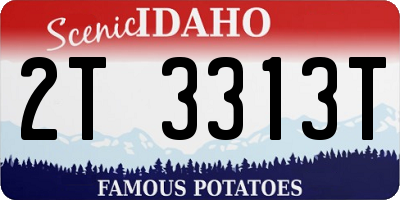 ID license plate 2T3313T