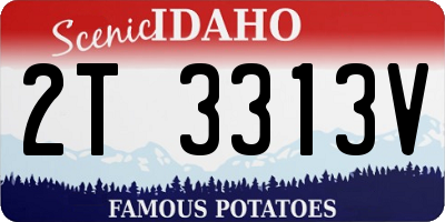 ID license plate 2T3313V