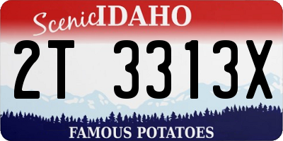 ID license plate 2T3313X