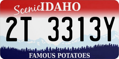 ID license plate 2T3313Y