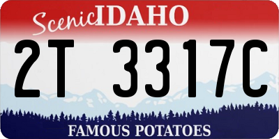ID license plate 2T3317C