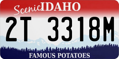 ID license plate 2T3318M