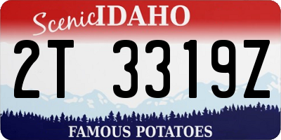 ID license plate 2T3319Z