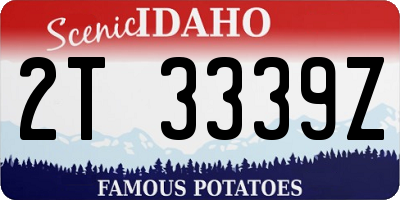 ID license plate 2T3339Z