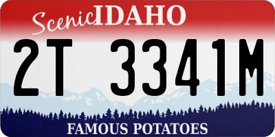 ID license plate 2T3341M