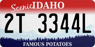 ID license plate 2T3344L