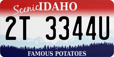 ID license plate 2T3344U