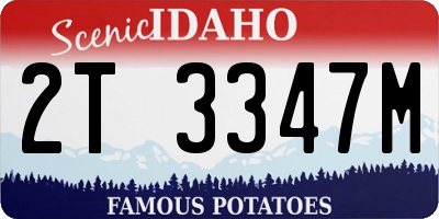 ID license plate 2T3347M