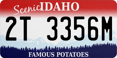 ID license plate 2T3356M