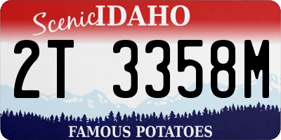 ID license plate 2T3358M