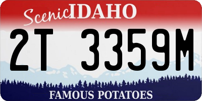 ID license plate 2T3359M