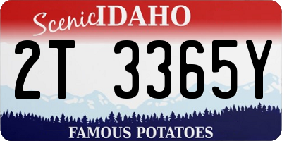 ID license plate 2T3365Y