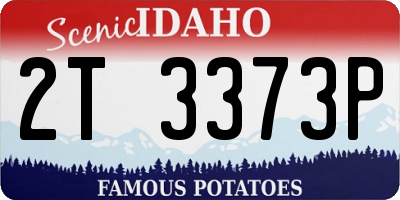 ID license plate 2T3373P