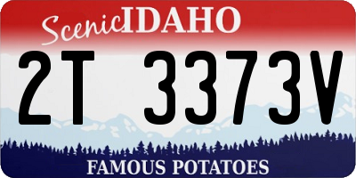 ID license plate 2T3373V