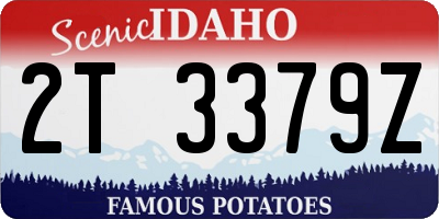 ID license plate 2T3379Z