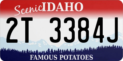 ID license plate 2T3384J