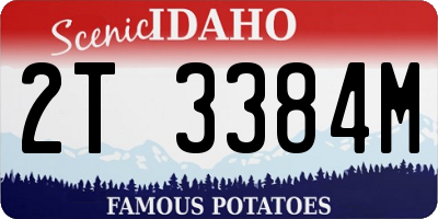 ID license plate 2T3384M