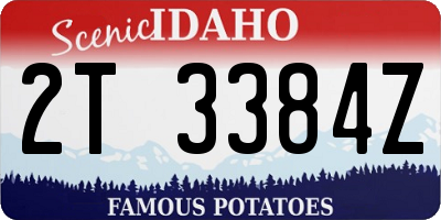 ID license plate 2T3384Z