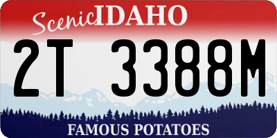 ID license plate 2T3388M