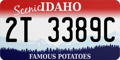 ID license plate 2T3389C